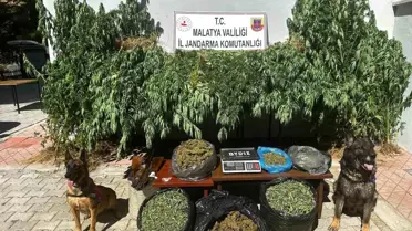 Malatya'da Uyuşturucu Operasyonu: 11,5 Kilogram Esrar ve Ruhsatsız Av Tüfeği Ele Geçirildi