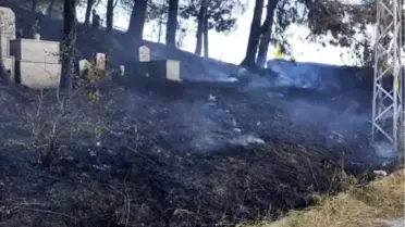 Yalova'da mezarlık yangını kontrol altına alındı