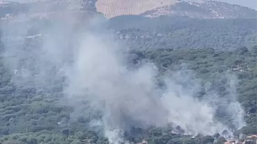 Bergama'da fıstık çamları yangını kontrol altına alındı