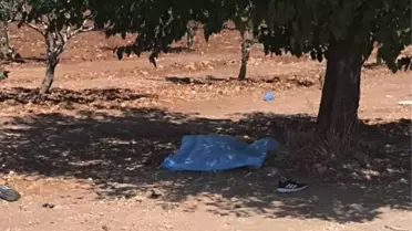 Şanlıurfa'da Fıstık Bahçesinde Öğretmenin Cesedi Bulundu