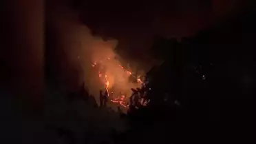 İznik'te Orman Yangınına Karadan Müdahale Devam Ediyor