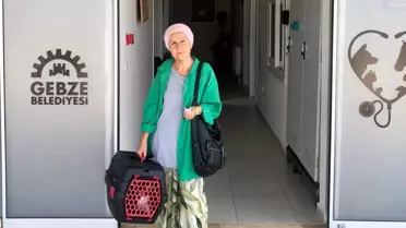 Gebze'de Sokak Hayvanları Bakım ve Rehabilitasyon Merkezi'nde Sahiplendirme İşlemleri Başladı