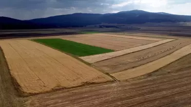 Kars'ta İşlenmeyen Tarım Arazi Kiralaması Başlıyor