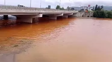 Gelevera Deresi'nde Balık Ölümleri Vatandaşları Korkutuyor