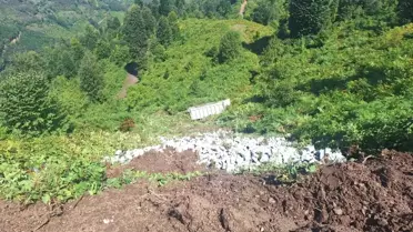 Tokat'ın Erbaa ilçesinde kamyon uçuruma yuvarlandı, sürücü yaralandı