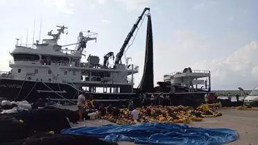İnebolu'da denizlerde avlanma yasağı sona erdi
