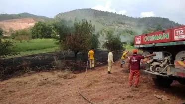 Bilecik'te başlayan yangın ormanlık alana sıçramadan kısa sürede söndürüldü