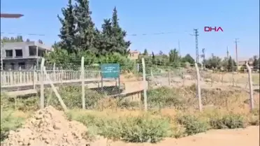 Nusaybin'de yol kenarında ölü bulunan kişi tabancayla vurulmuş