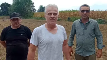 Düzce'de Alternatif Ürün Yetiştirme Girişimi: Safran Ekimi