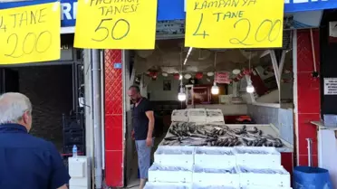 Doğu Karadeniz'de Palamut Bolluğu: Fiyatlar Düşüyor