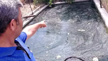 Mersin'de kara yılan ve fare kurtarıldı