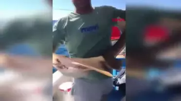 Nesli Azalan Sapan Balığı Amatör Balıkçının Oltasına Takıldı
