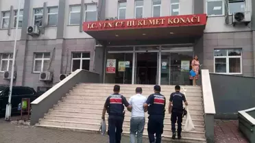 Karabük'te Baba ve Oğlu Kenevir Yetiştirmekten Tutuklandı