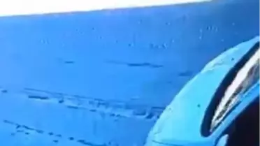 Gaziantep'te Sokak Köpeğine Çarpan Sürücü Gözaltına Alındı