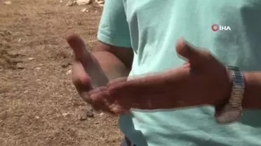 Şanlıurfa'da 2-5 Milyon Yıllık Bazalt Sütunları Keşfi