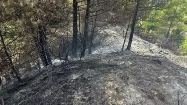 Hatay Antakya'da Orman Yangını Kontrol Altına Alındı