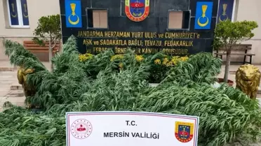 Mersin'de Uyuşturucu Ticareti Yapan 3 Şahıs Yakalandı