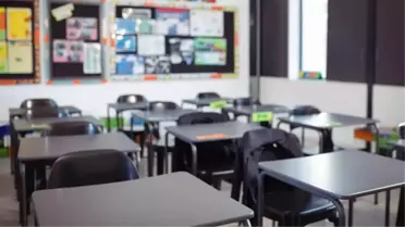 Sınıfa giren arıyı öldürmek isteyen öğretmen 15 öğrenciyi hastanelik etti