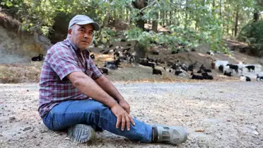 Yörüklerin Hava Durumu Tahminleri: Keçilerin Hareketlerinden Meteoroloji Bilgisi