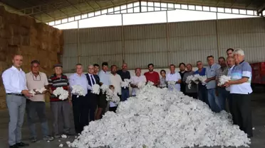 Nazilli'de Pamuk Sezonu Başladı: İlk Hasat 500 Kilogram Pamuk