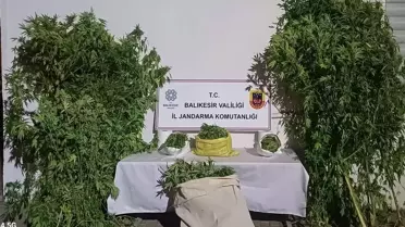 Gönen'de Uyuşturucu Operasyonu: 2 Gözaltı