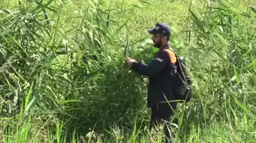 Diyarbakır'da kaybolan kız çocuğu için arama çalışmaları sürüyor