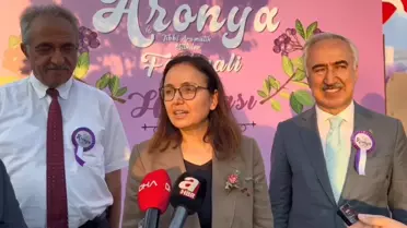 Yalova'da Aronya Festivali Başladı