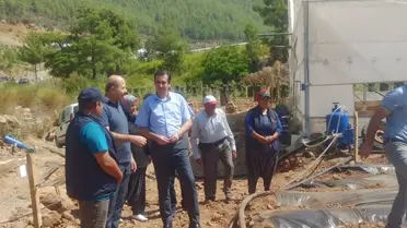 Bozyazı Kaymakamı Çilek Serasını Ziyaret Ettti