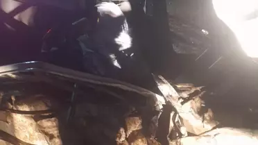 Şanlıurfa'da Kaza: 1 Ölü, 3 Yaralı