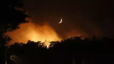 Muğla'da Orman Yangını Sürekli Devam Ediyor