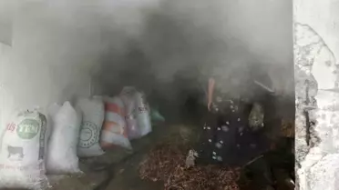 Zonguldak'ta Ahır Yangını: İnekler Kurtarıldı
