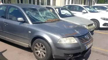 Adapazarı'nda Ağaç Devrildi, 4 Araç Hasar Gördü