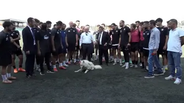 Büyükçekmece Belediyesi Sahipsiz Köpekleri Sahiplendirme Seferberliği