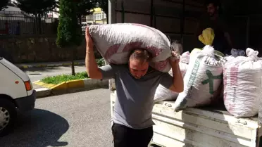 Giresun'da Fındık Ticareti Uyarısı