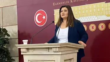 Çocukların Güvenliği İçin Devlet Testi Gereği