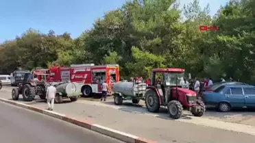 Samsun'da Ormanda Yangın Çıktı