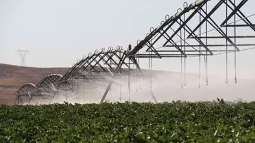 GAP ile Şanlıurfa'da Tarımda Alternatif Ürün Artışı