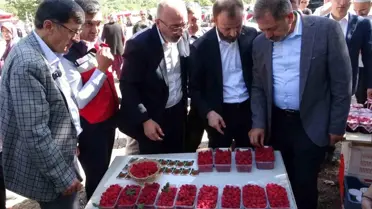 Kütahya'da Ahududu Şenliği Renklere Doyurdu