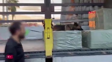Mersin'de 65 Milyonluk Kaçak Makaron Ele Geçirildi
