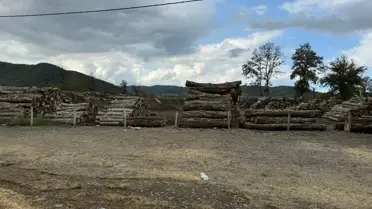 Tomruğun Altında Kaldı, Hayatını Kaybetti