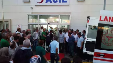 Giresun'da Çay Yüklü Kamyon Şarampole Yuvarlandı