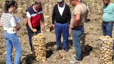 Patates Kontrolleri Başladı