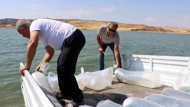 Adıyaman'da 3,5 Milyon Yavru Balık Bırakıldı