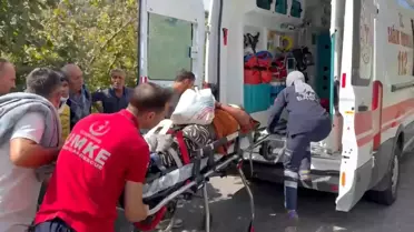 Düzce'de Fındık İşçilerini Taşıyan Minibüs Uçuruma Yuvarlandı