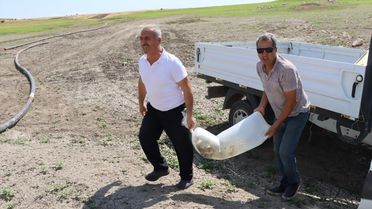 Atatürk Barajı'na 3.5 Milyon Balık Yavrusu Salındı