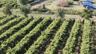 Salihli'de Üzücü Cinayet: 2 Şüpheli Tutuklandı