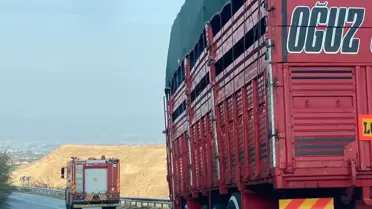 Manisa'da Tarım İşçilerini Taşıyan Midibüs Kaza Yaptı