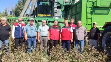 Söke Pamuğu'nda Hasat Devam Ediyor