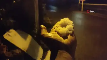 Erzurum'da Dolu ve Sel Felaketi: Tarım Ürünleri Zarar Gördü