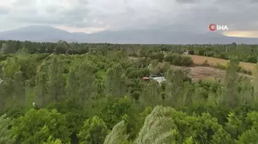 İrem Bağları'nda Sonbahar Coşkusu